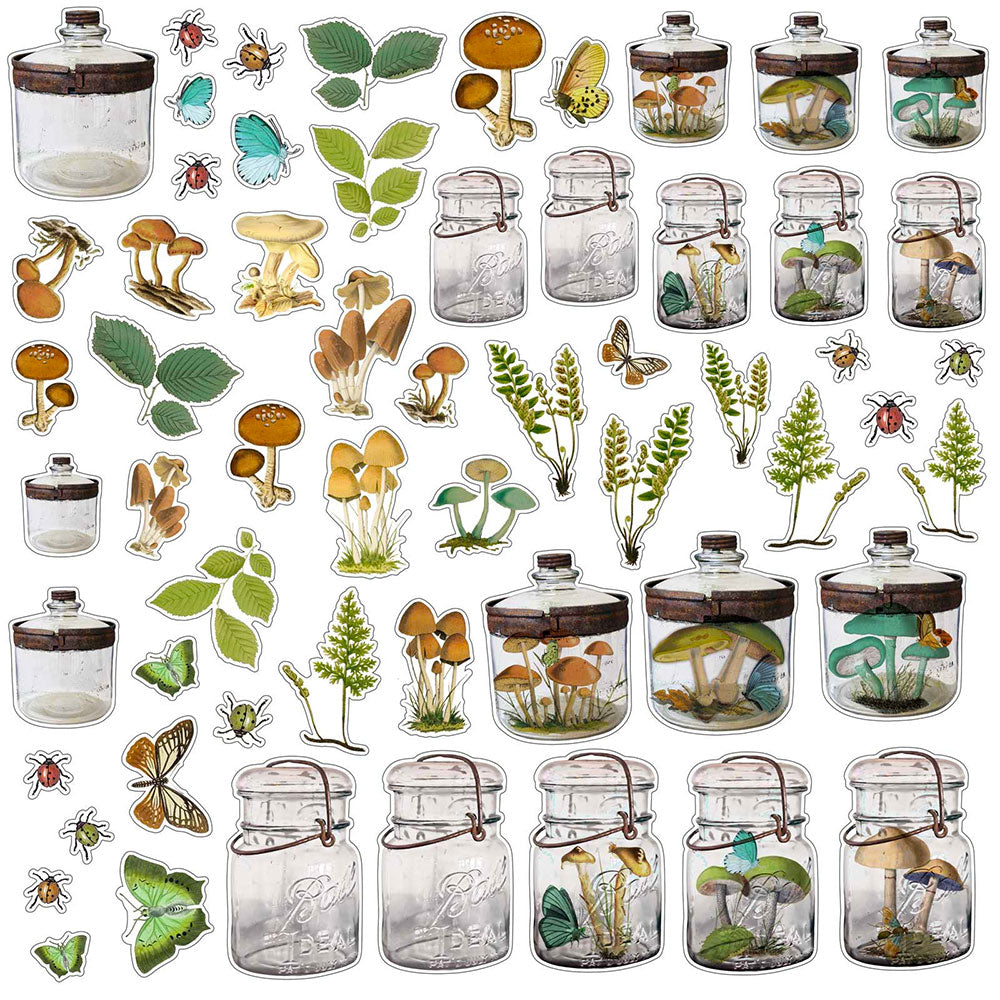 49 & Market Nature Study Specimen Acetate Shapes - Art Journal Junction