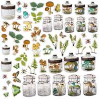 49 & Market Nature Study Specimen Acetate Shapes - Art Journal Junction