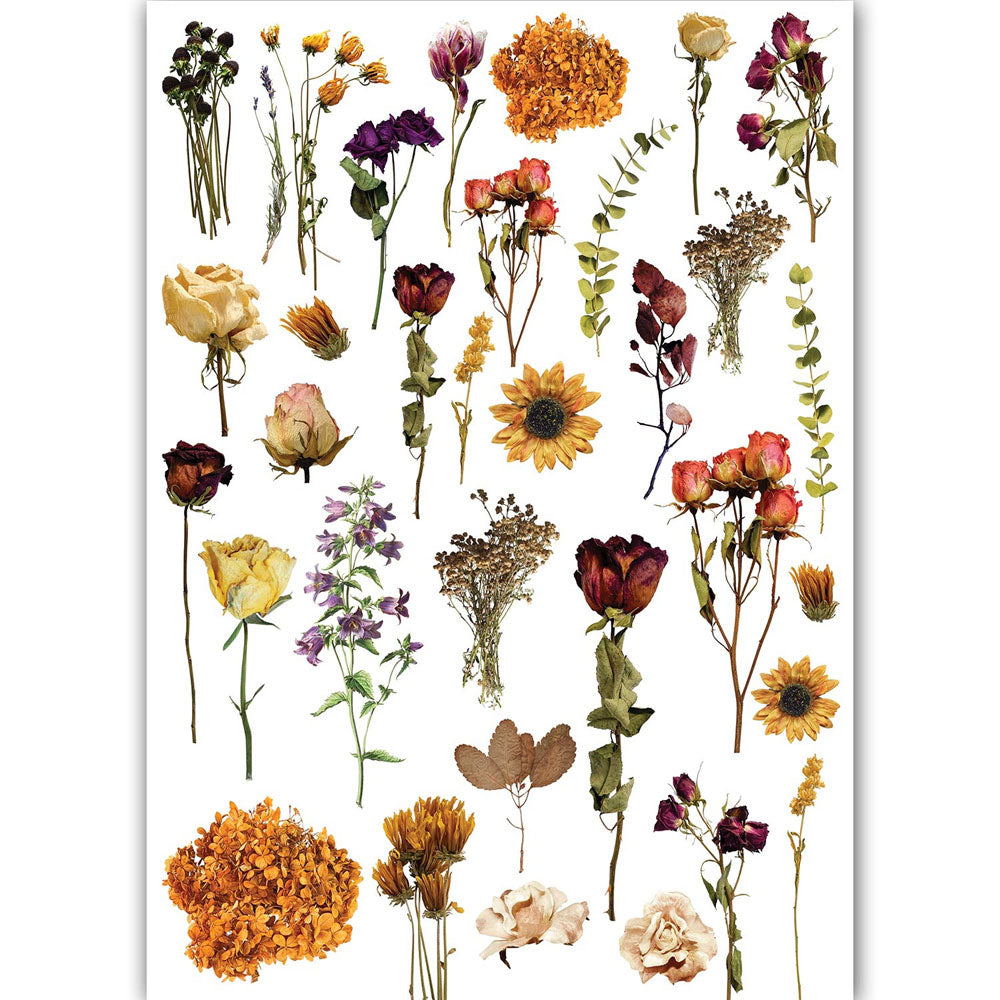 Dress My Craft Dry Flowers Transfer Me Sheet - Art Journal Junction