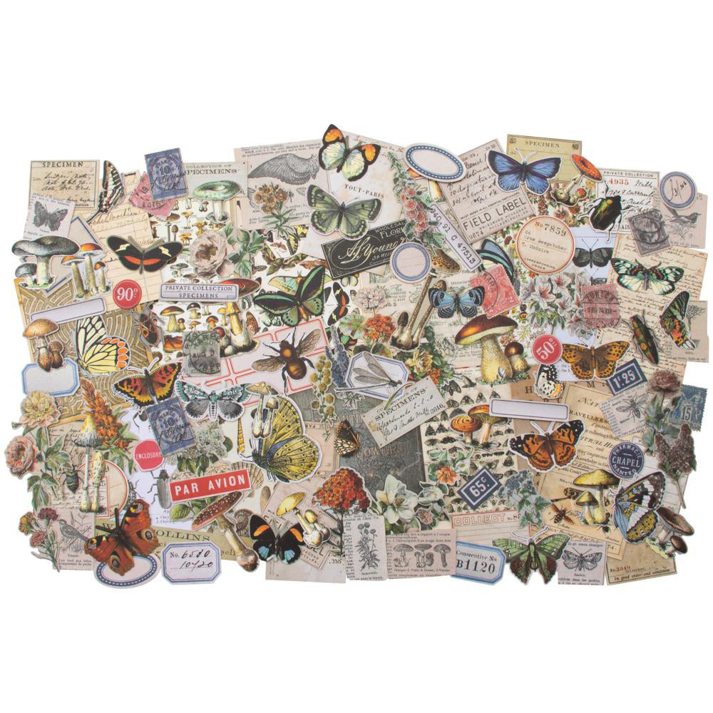 Tim Holtz Idea-ology Field Notes Ephemera - Art Journal Junction
